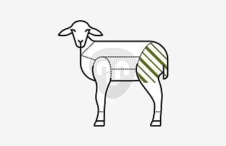 Gigot Raccourci Gigot Raccourci