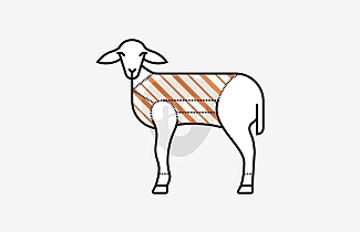 Whole milk-fed lamb's cradle Whole milk-fed lamb's cradle