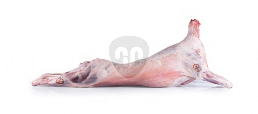 Lamb carcass Lamb carcass