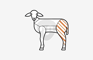Milk-Fed lamb leg Milk-Fed lamb leg
