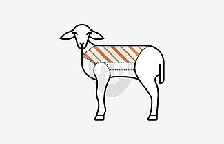 Milk fed lamb chops Milk fed lamb chops
