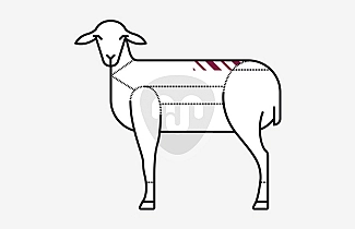 Mutton loin Mutton loin