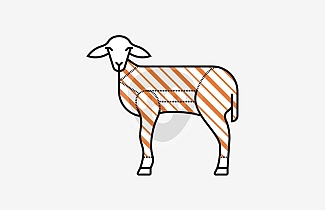 Milk fed lamb carcass Milk fed lamb carcass