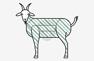 肉块 肉块