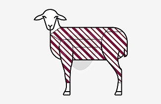 Mutton cut in 6 pieces Mutton cut in 6 pieces