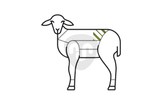 Osso a T di agnello Osso a T di agnello
