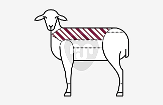 Chuletas Chuletas
