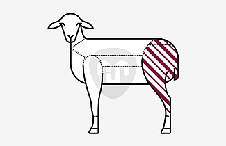 Lamb boneless leg Lamb boneless leg
